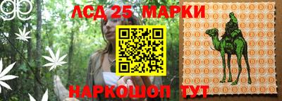 apvp Обь