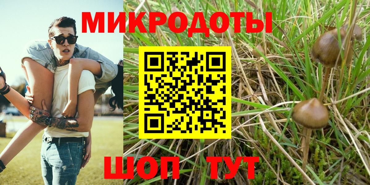 Псилоцибиновые грибы Magic Shrooms  Псилоцибиновые грибы мицелий  Сызрань  закладки  Вход с VPN 